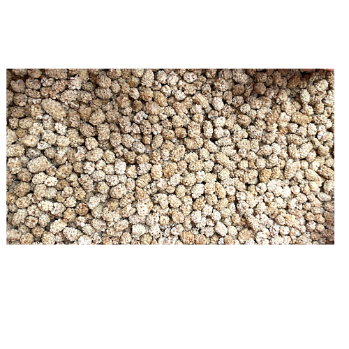 ZA1- WHITE MULBERRY 1 X 8KG