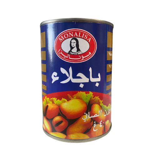 CA1 - MONALISA FOUL LARGE  24X400G