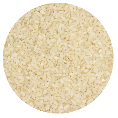 AC0-ZR6-NAWRAS CALROSE RICE - 1X25KG  