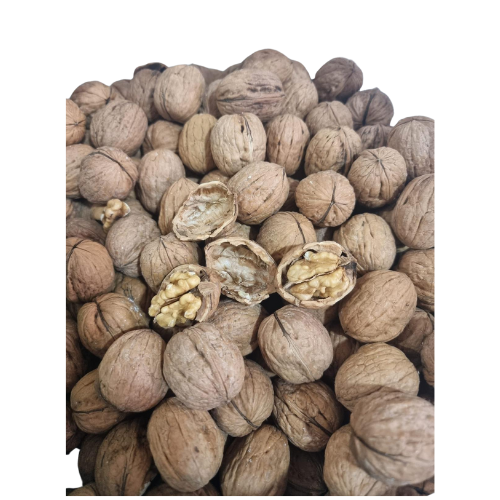 ZA1- WALNUTS 1x10kg - 2nd Variety