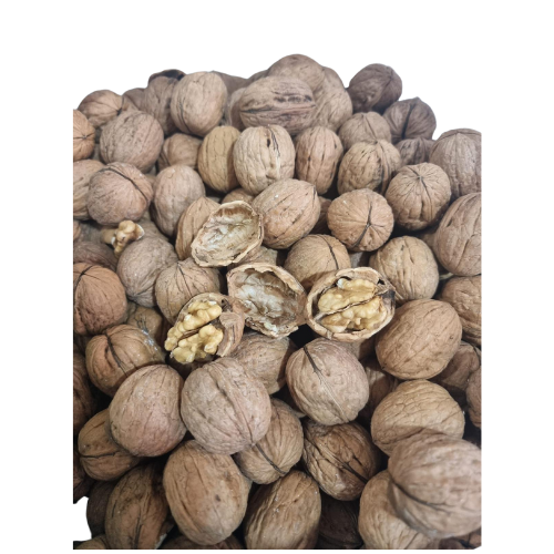 ZA1- WALNUTS IN SHELL 1x10kg - 2nd variety