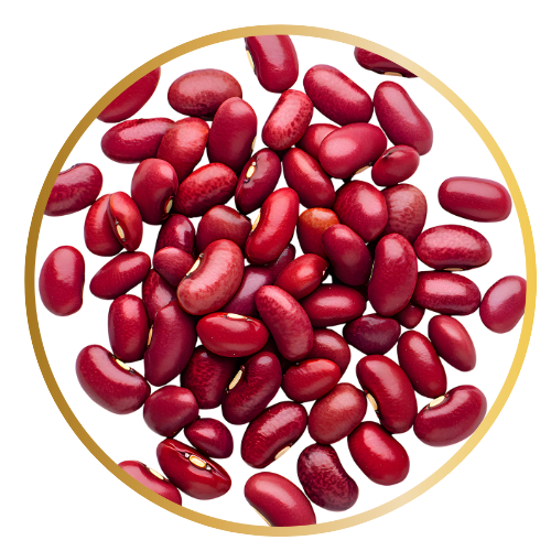 AC0-ZD1-HAROON (ARGENTINE) RED KIDNEY BEANS 1X25KG