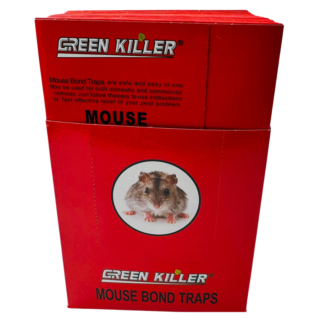 ZT8- GREEN LIVE - MOUSE BOND TRAP (24PCS)(LF-34) - 1X1