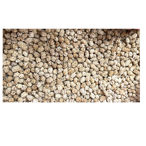 [ZA1-10558] ZA1- WHITE MULBERRY 1X6kg