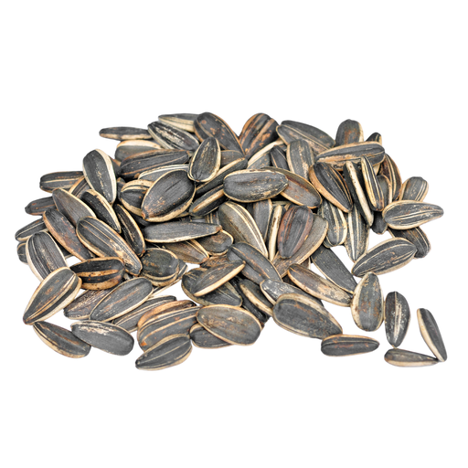 [BC6-13618] BC6- NAWRAS - SUNFLOWER SEEDS UNSALTED 1X25KG 