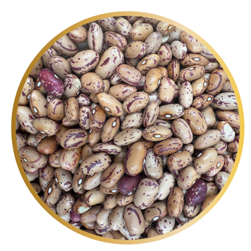 [AC0-15175] AC0-ZD1-HAROON (ARGENTINE) CRANBERY BEANS 1X25KG