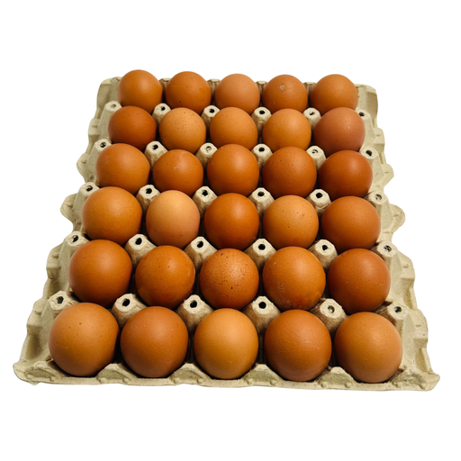 [AC0-ZD3-81043] AC0-ZD3-EGGS CLASS A - (1X30)X12